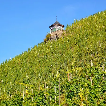 Fewo Colonia * Bernkastel-Kues